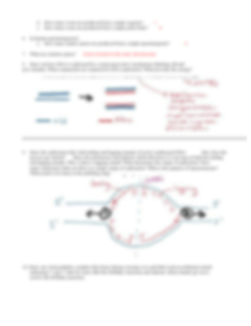 Exam 2 prep questions_fa2021.docx_d05fk8xsu9b_page2