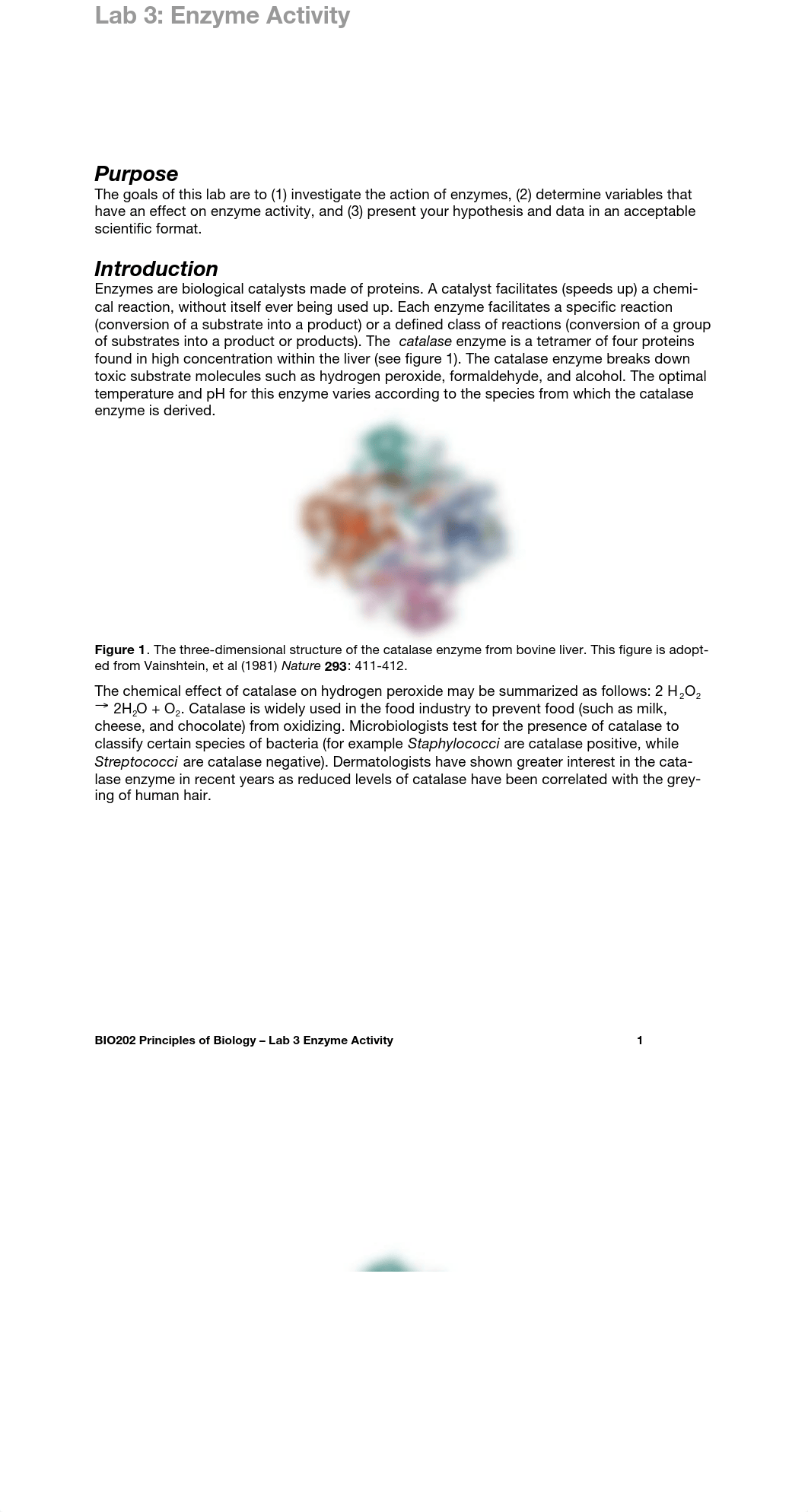 Lab 3 Enzyme kinetics_d05fyfx4i0l_page1