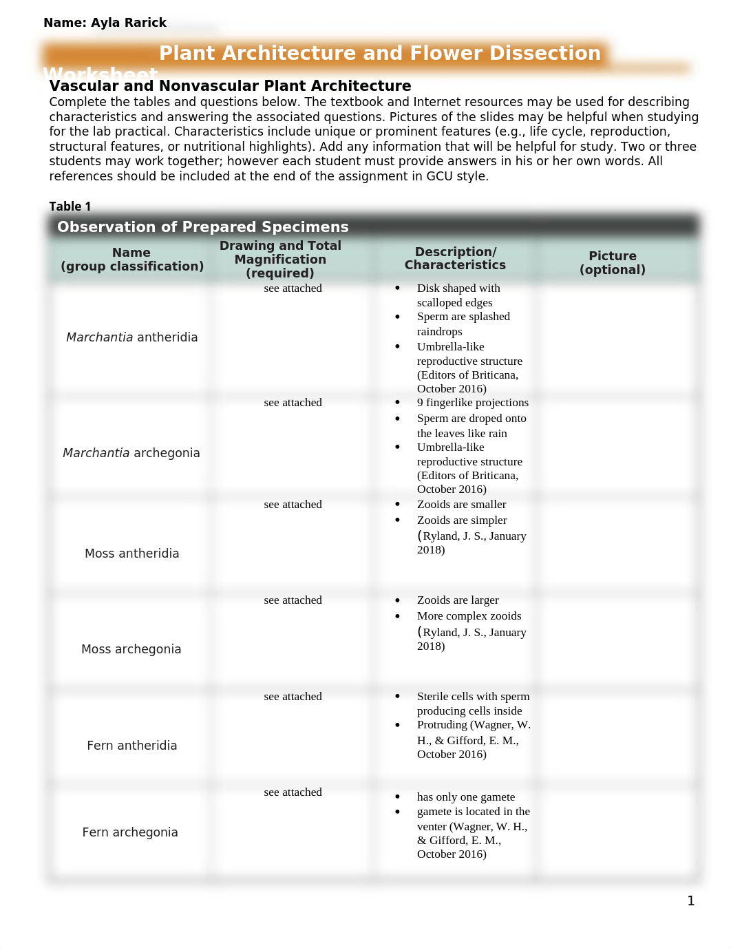 ARarick Lab 4.docx_d05jybufi26_page1