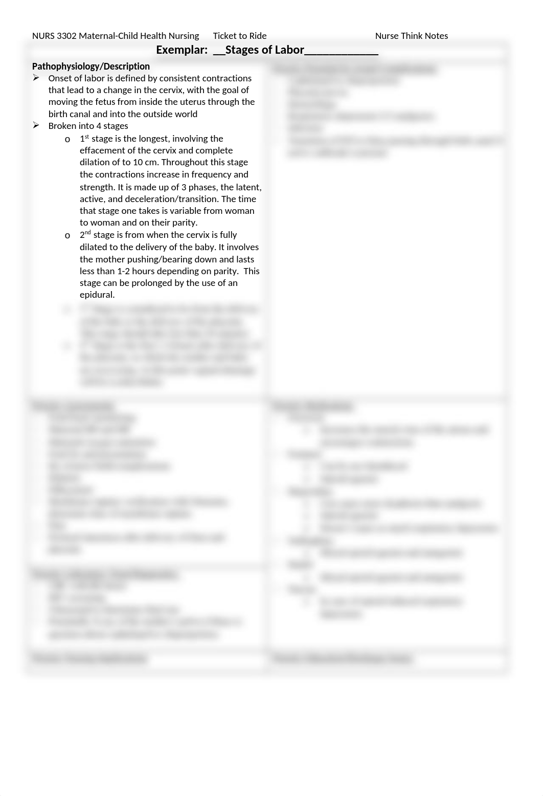 Stages of Labor Exemplar_gkautz.docx_d05lablgzvy_page1