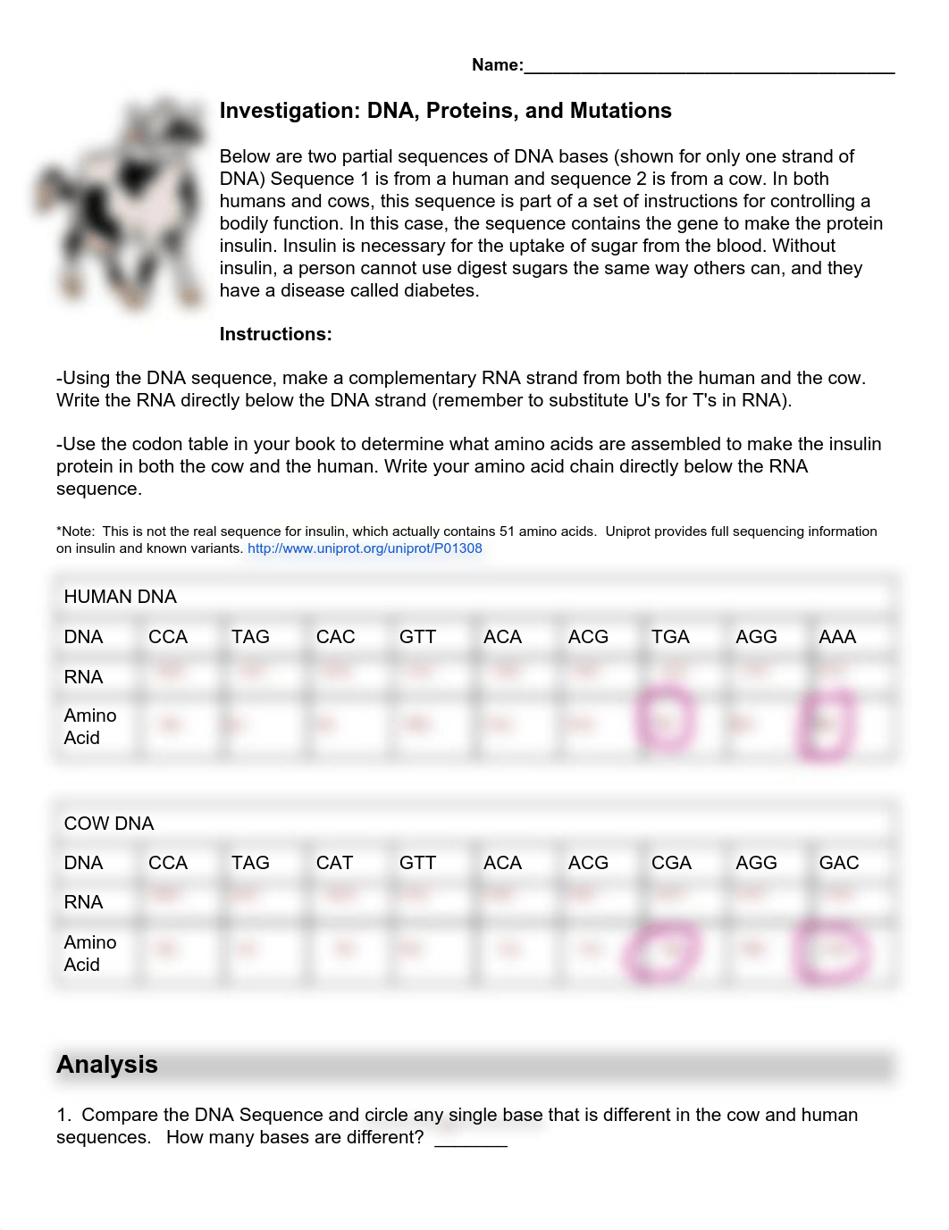 Nyaira Ballinger - Investigation_ DNA, Proteins, and Mutations.pdf_d05p1u411j7_page1