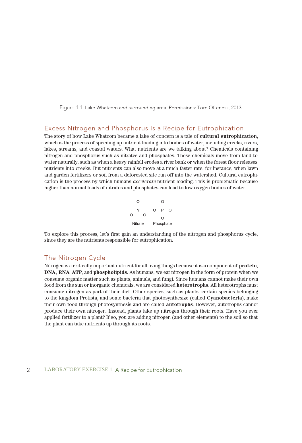 Lab 1 .pdf_d05ru2p8ty1_page2