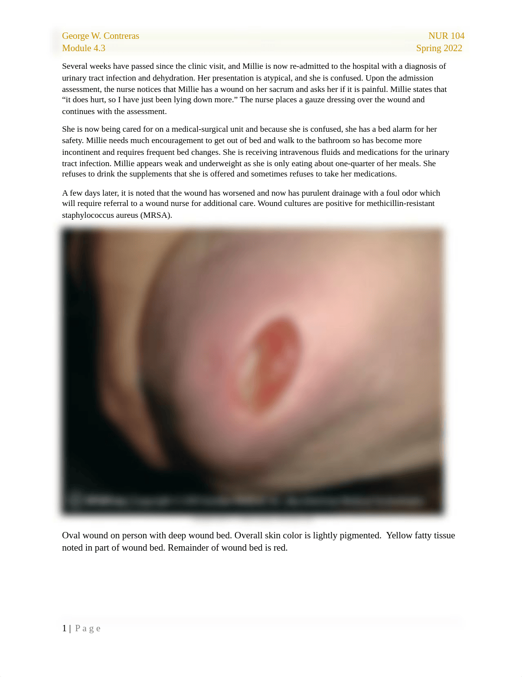 GWC wound 2.docx_d064jcl38ul_page1