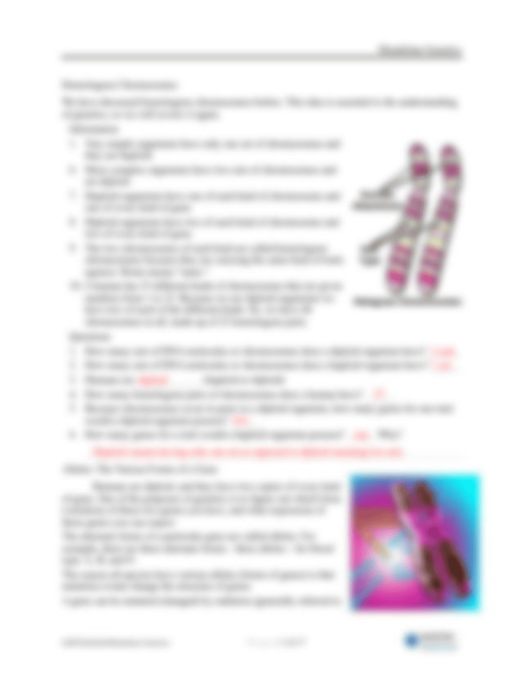 10i-Mendelian Genetics.docx_d0657ka38g5_page3