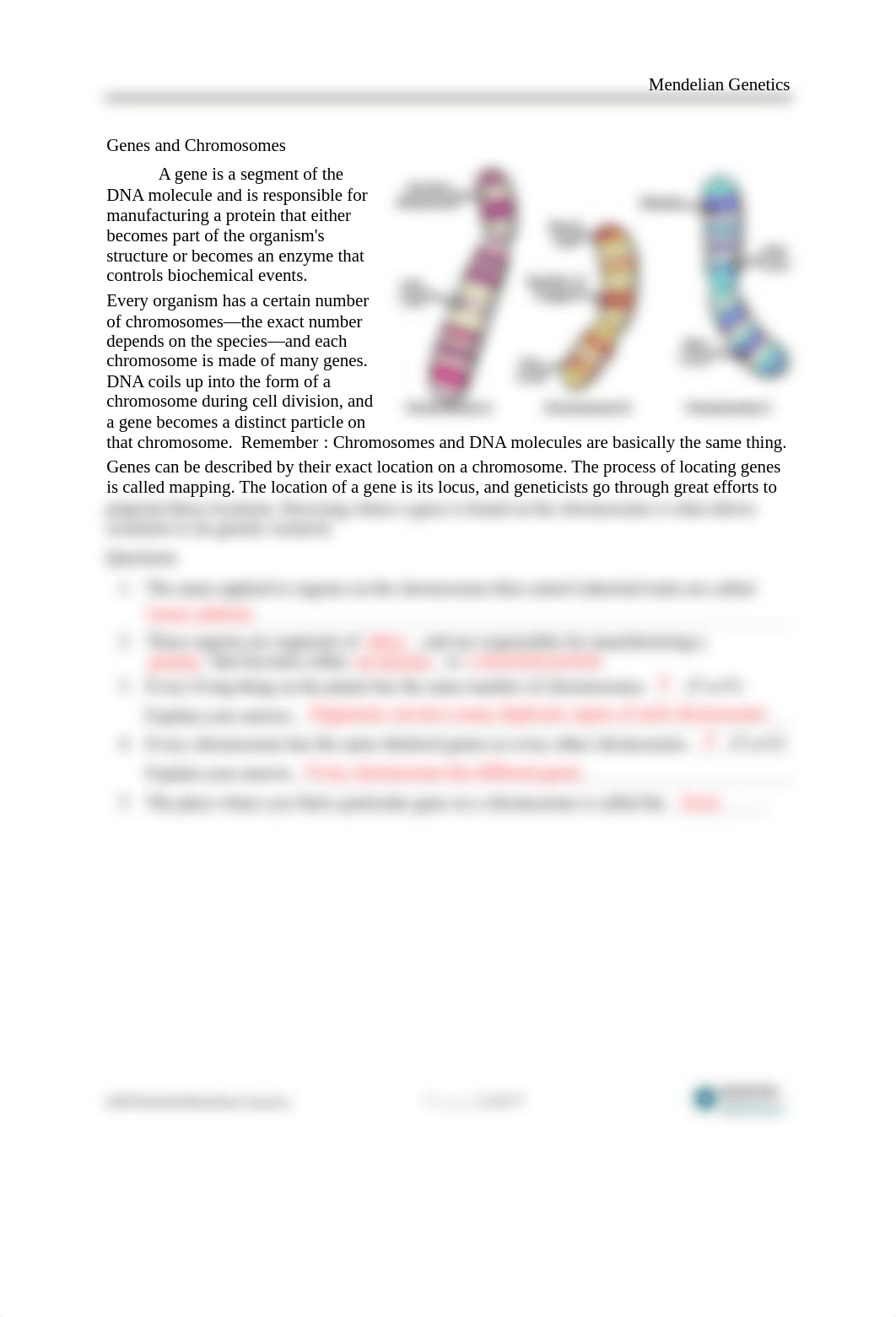 10i-Mendelian Genetics.docx_d0657ka38g5_page2