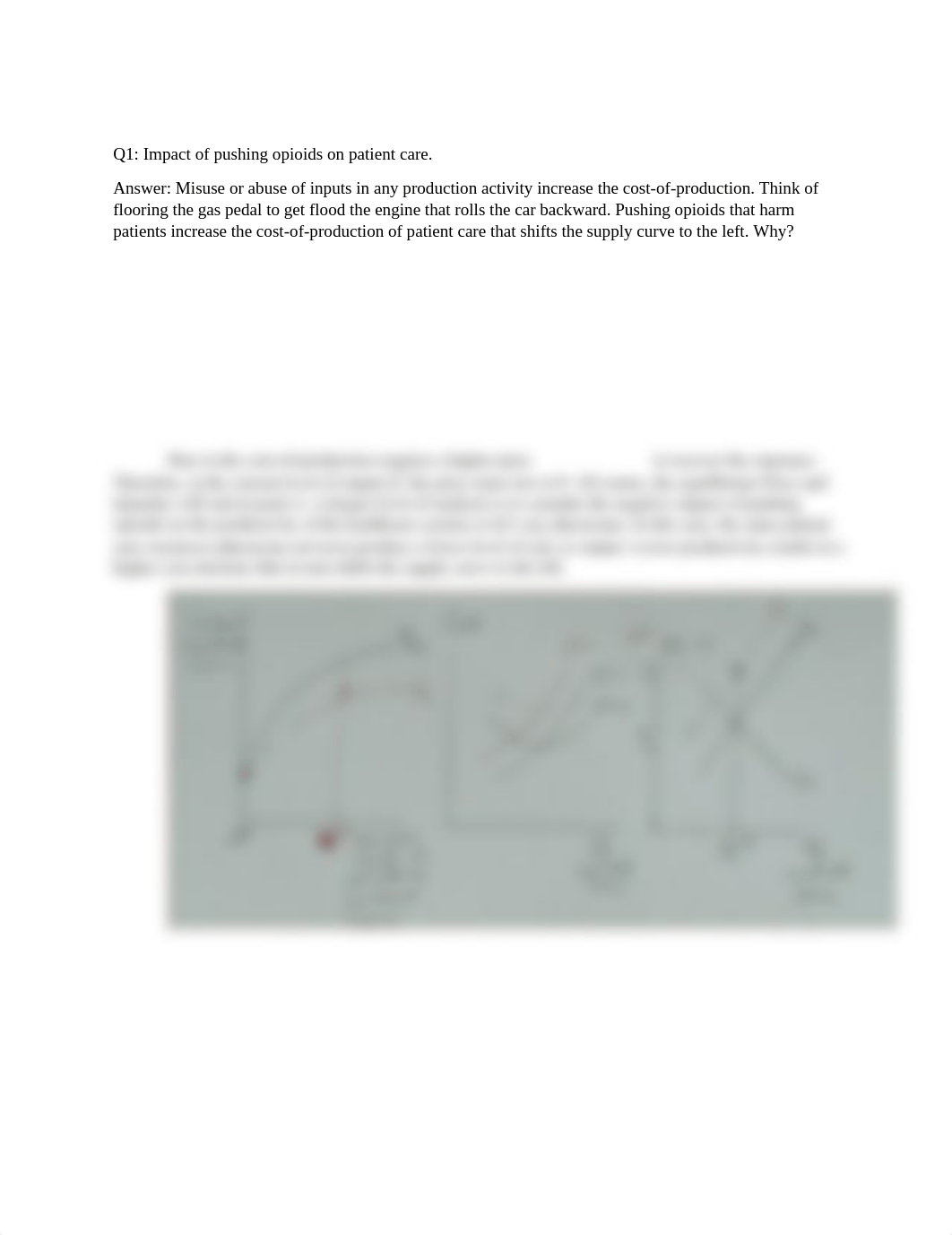 economics midterm.docx_d068wuubae6_page1