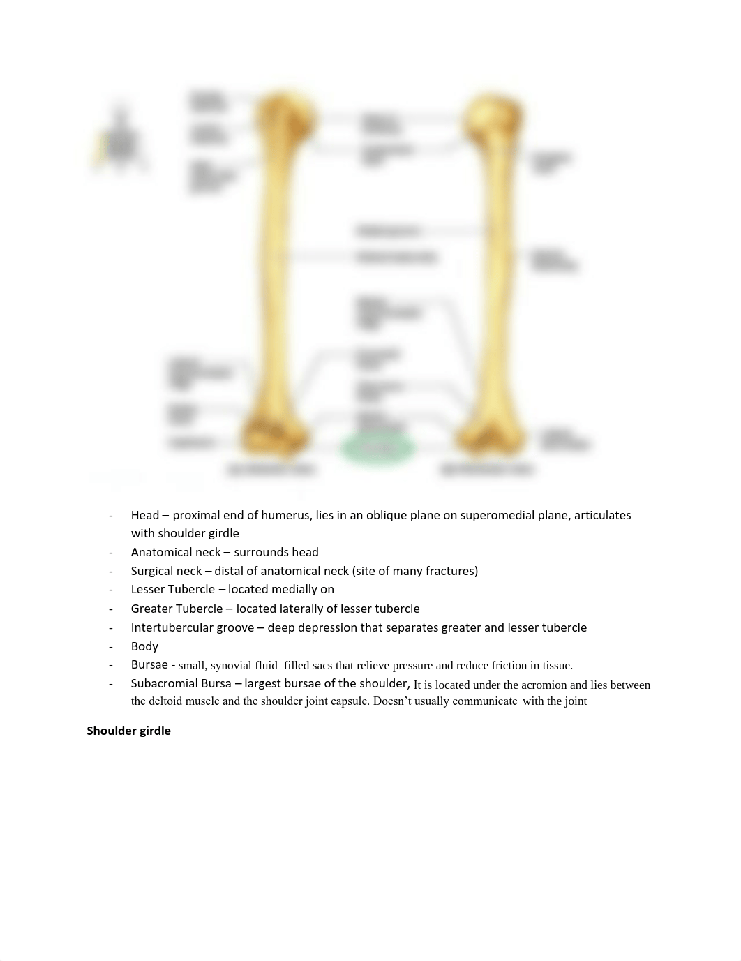 Rad 15 final exam review.pdf_d06erb4itgg_page3