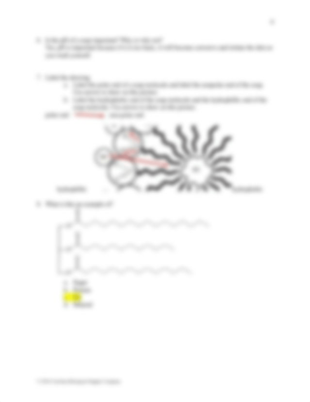 CHEM 123 Lab 4 Soap.docx_d06g19ytykx_page5