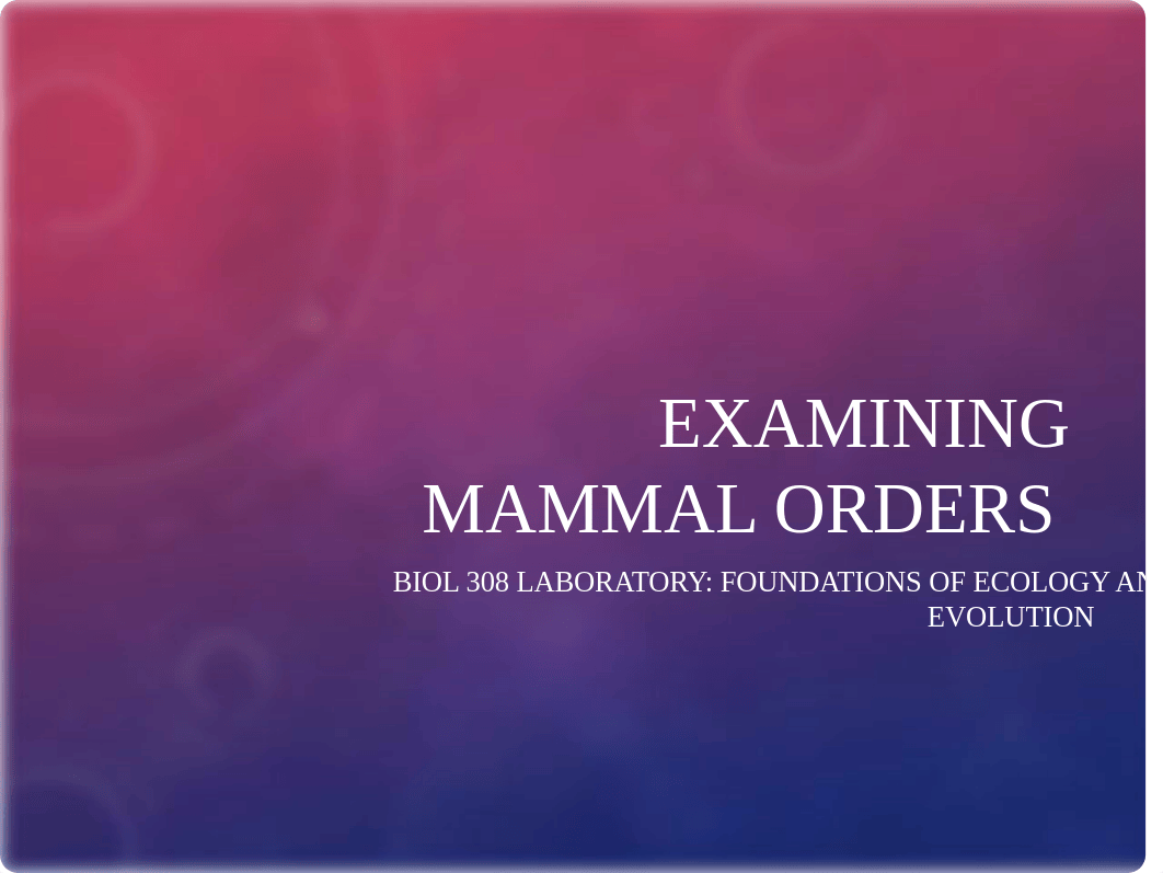 Examining Mammal Orders_su2020.pptx_d06i1yovteq_page1