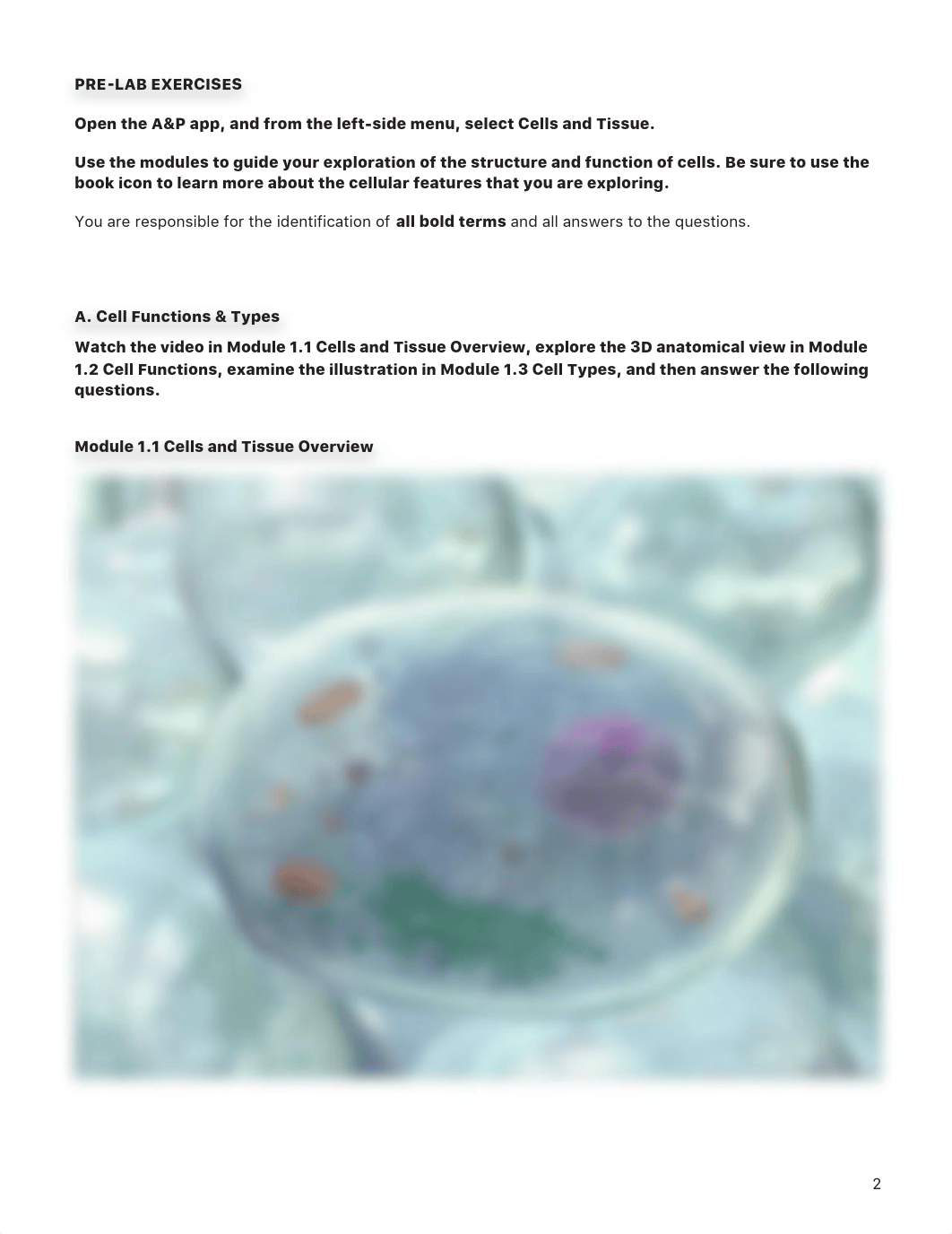 lab manual_cells_a+p.pdf_d06m8jh461t_page2