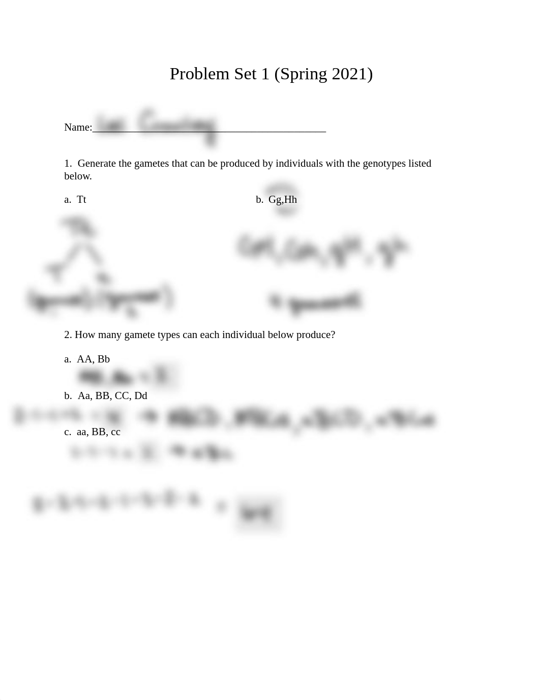 Problem Set 1 Chaps 1-4 Spring 2021.pdf_d06uhnafkx1_page1