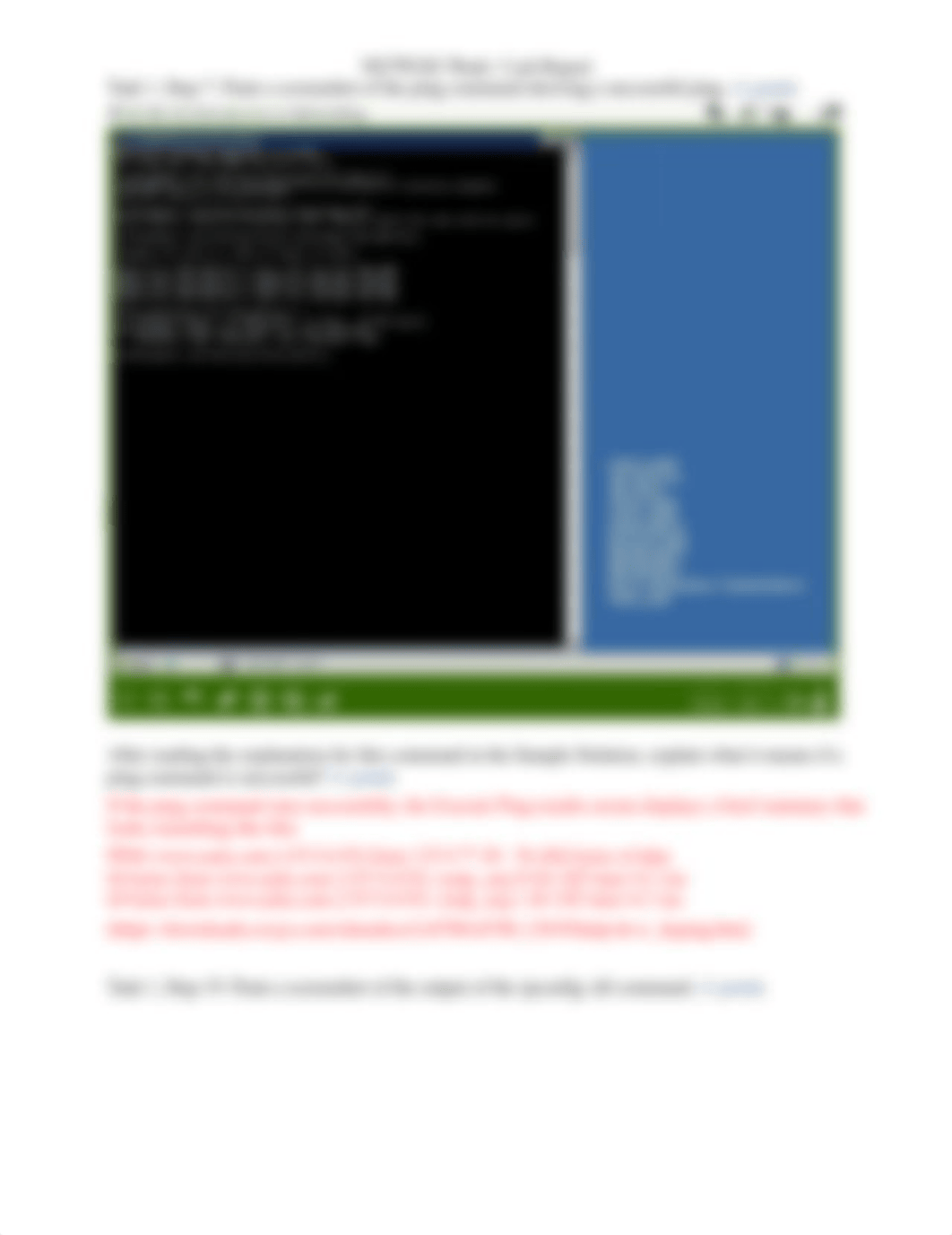 NETW202_W1_Lab_Report_Template_d0779oimwzz_page2