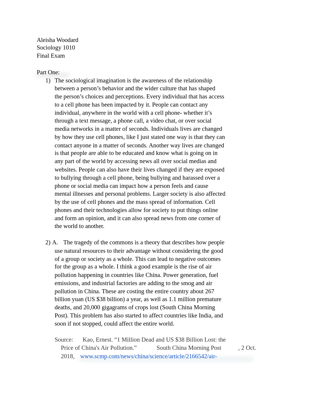 Sociology Final_d07eiudyj79_page1