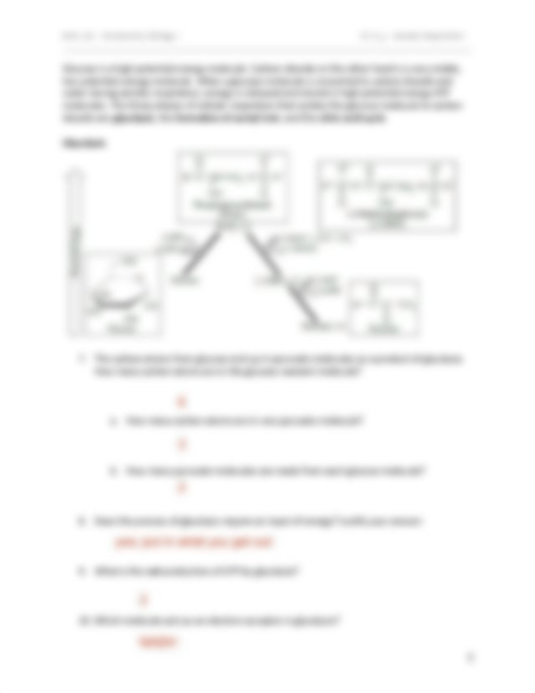 Ch. 8_1 Aerobic Respiration.pdf_d07jnnt4hsz_page3