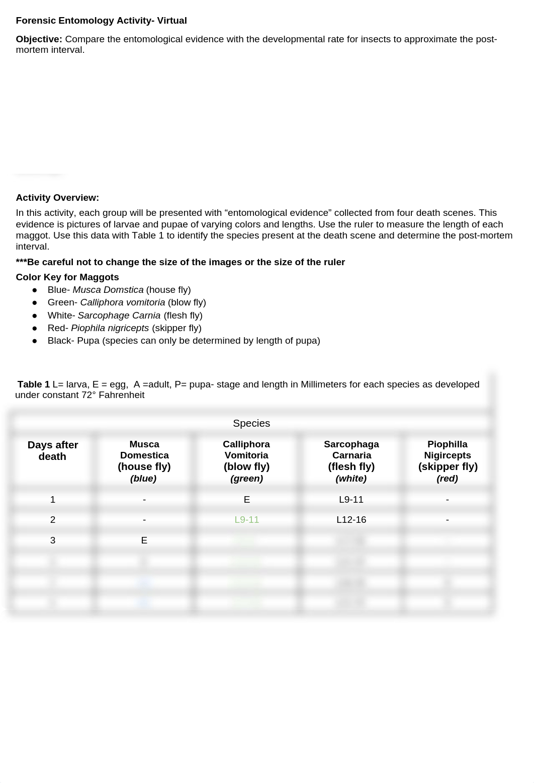 Forensic_Entomology_Activity-_Virtual_d07r9fu3c23_page1