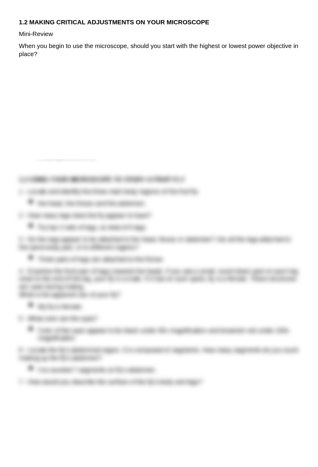 How to Use Your Microscope - Biology lab paper.docx_d07xmeiuhm5_page5