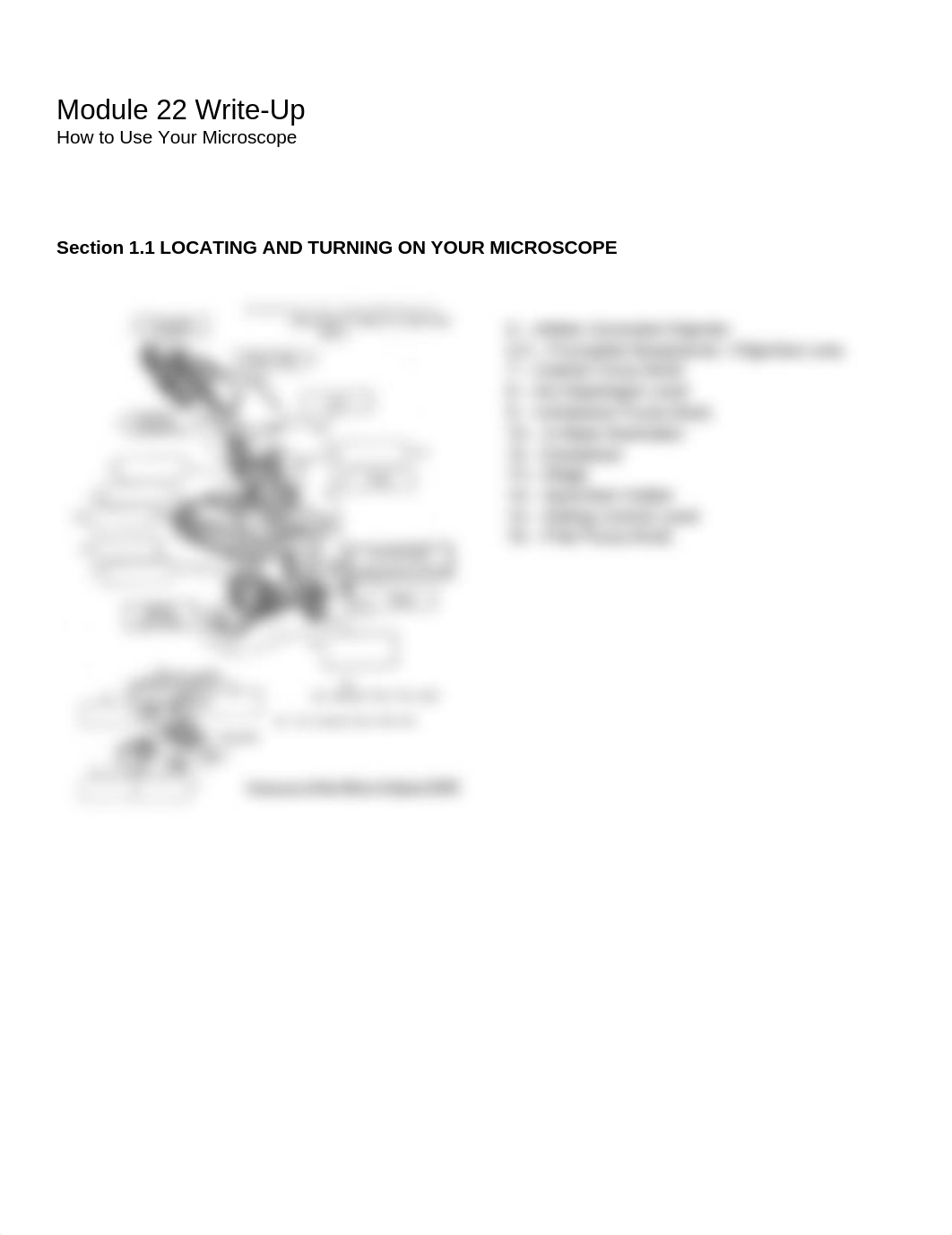 How to Use Your Microscope - Biology lab paper.docx_d07xmeiuhm5_page1