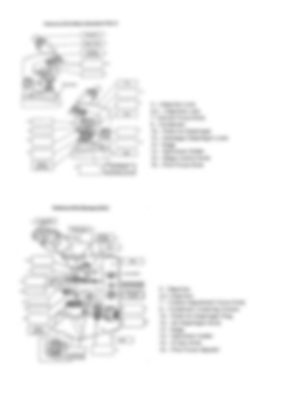 How to Use Your Microscope - Biology lab paper.docx_d07xmeiuhm5_page2