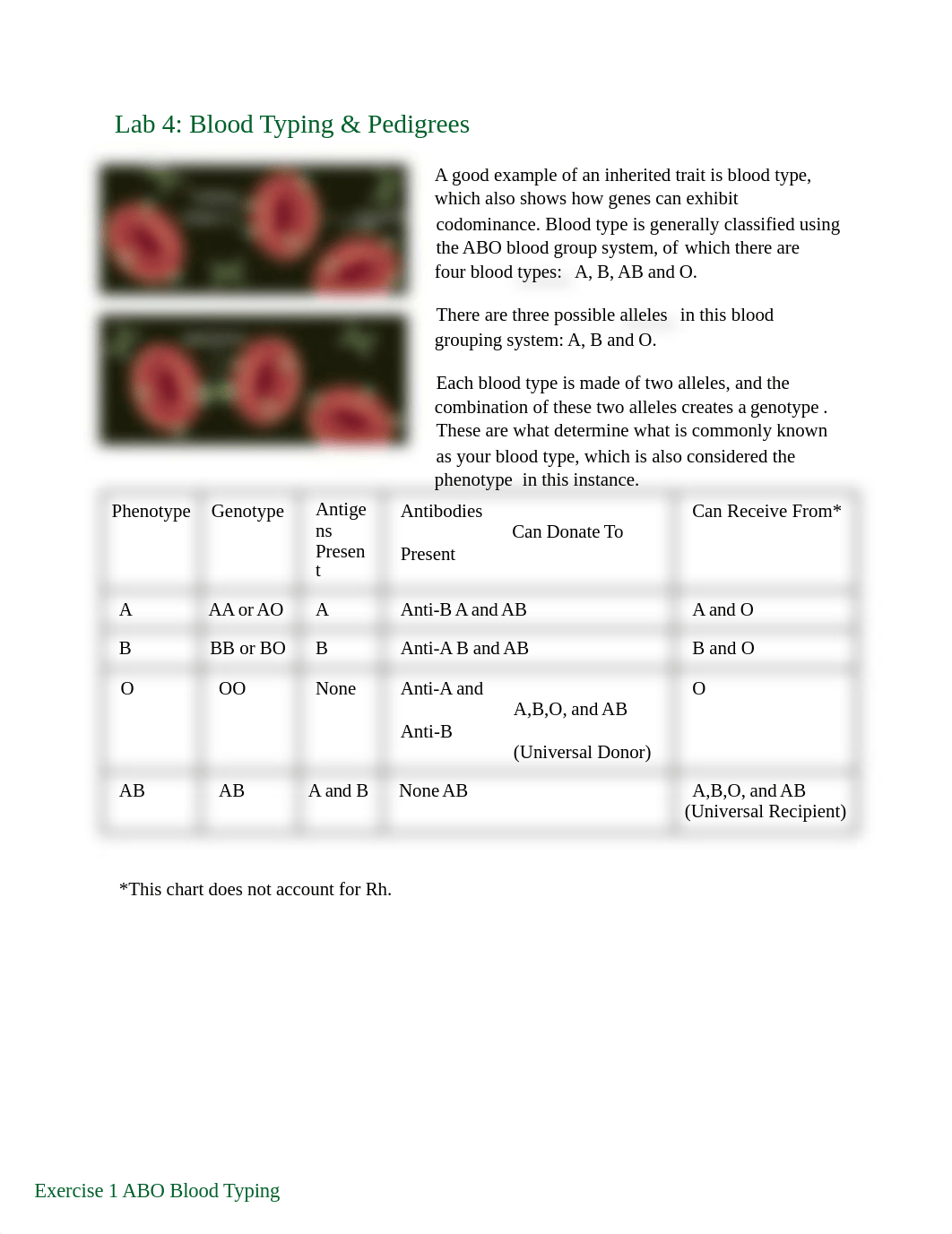 Copy of Lab 4_ Blood typing and Pedigree.docx_d089w8hsvwl_page1