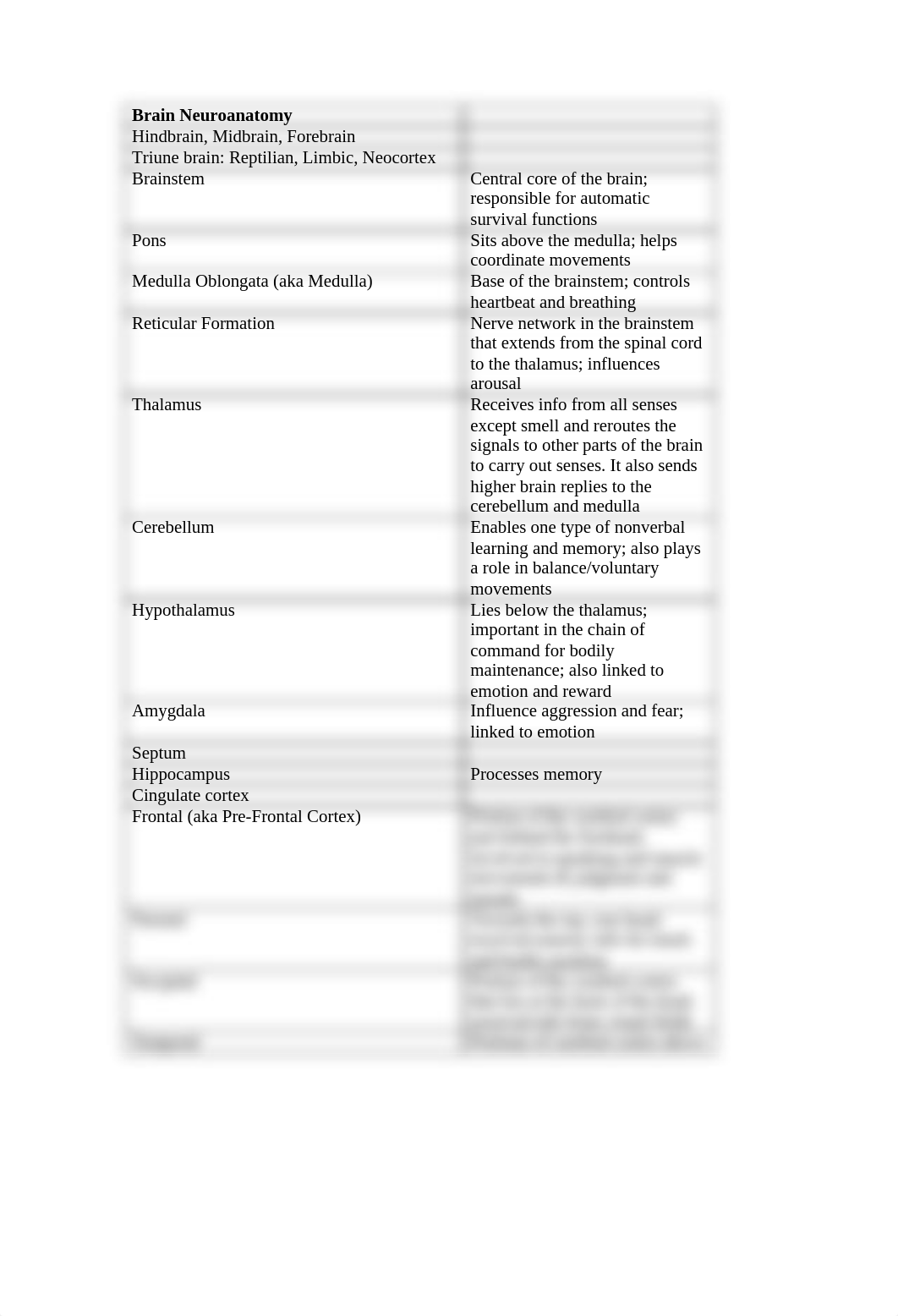 neuroanatomy worksheet_d08m2ekh31t_page1