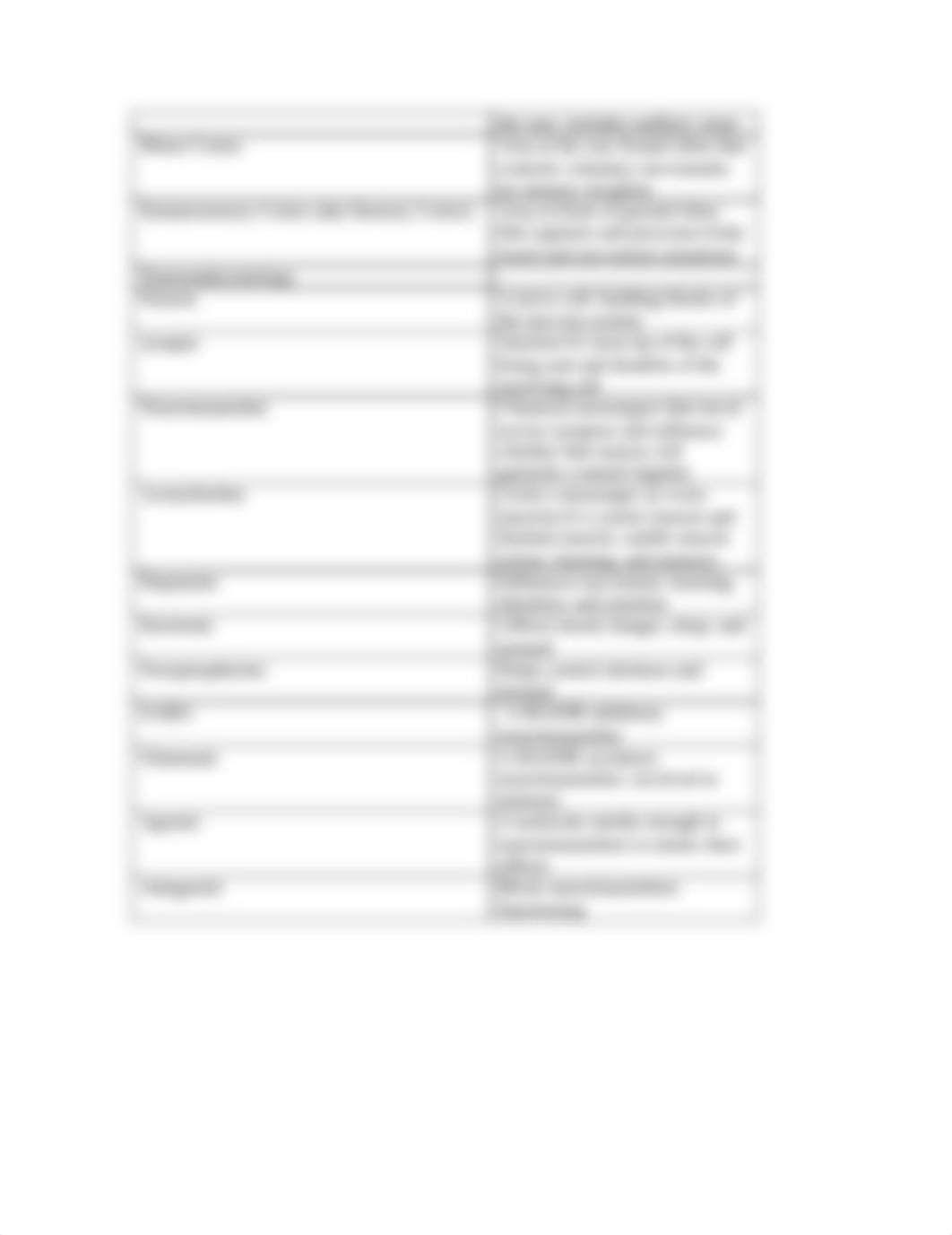 neuroanatomy worksheet_d08m2ekh31t_page2