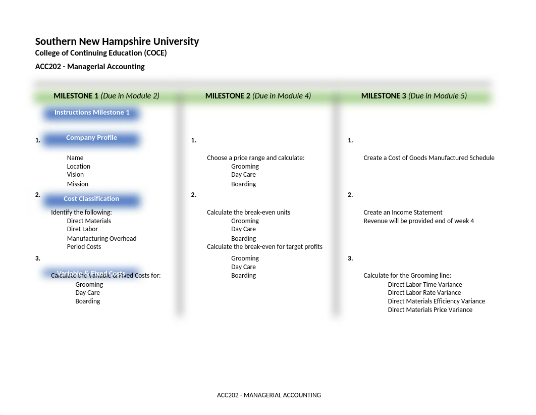 Copy of ACC 202 Final Project Workbook.xlsx_d08slvqtcgx_page1