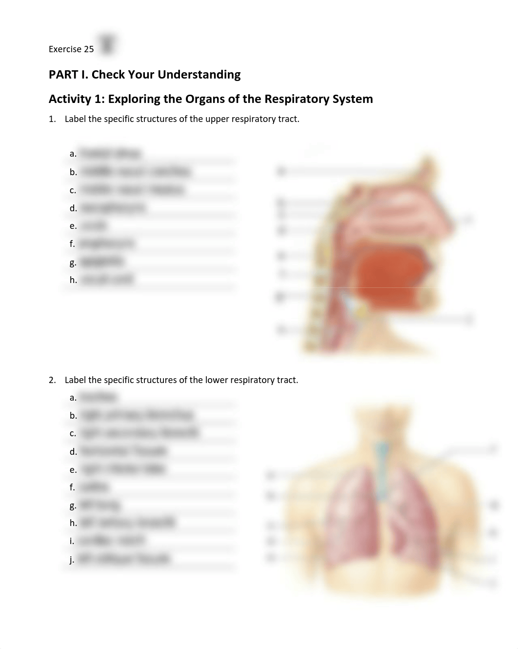 12. Unit 12 laboratory exercise 25 --Sims.pdf_d09364xba8g_page1