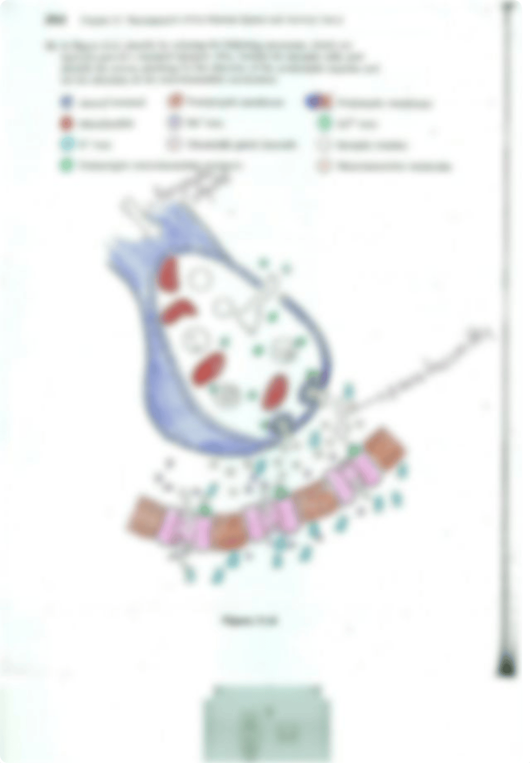 Unit_5_Test_Review_Packet_KEY (1).pdf_d094d60up2s_page4