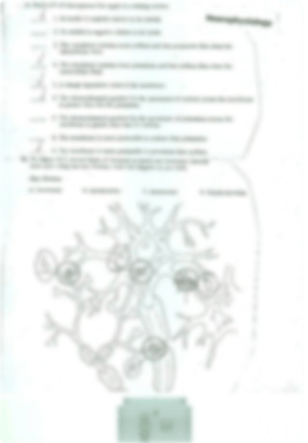 Unit_5_Test_Review_Packet_KEY (1).pdf_d094d60up2s_page3