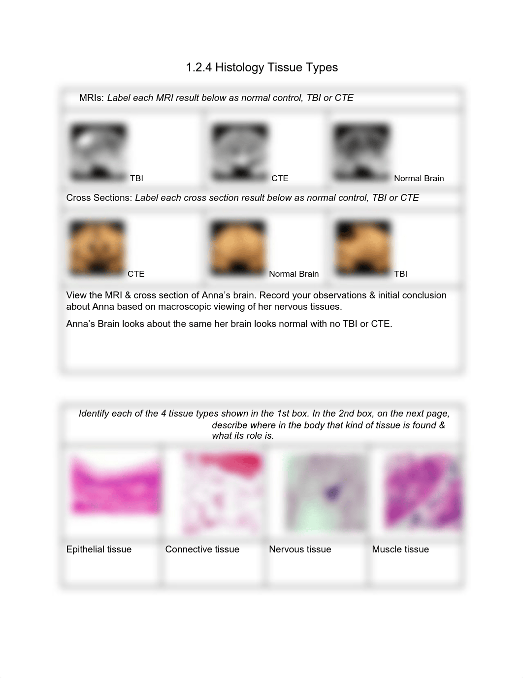 1.2.4 Histology Tissue Types.pdf_d09b8ghqtko_page1