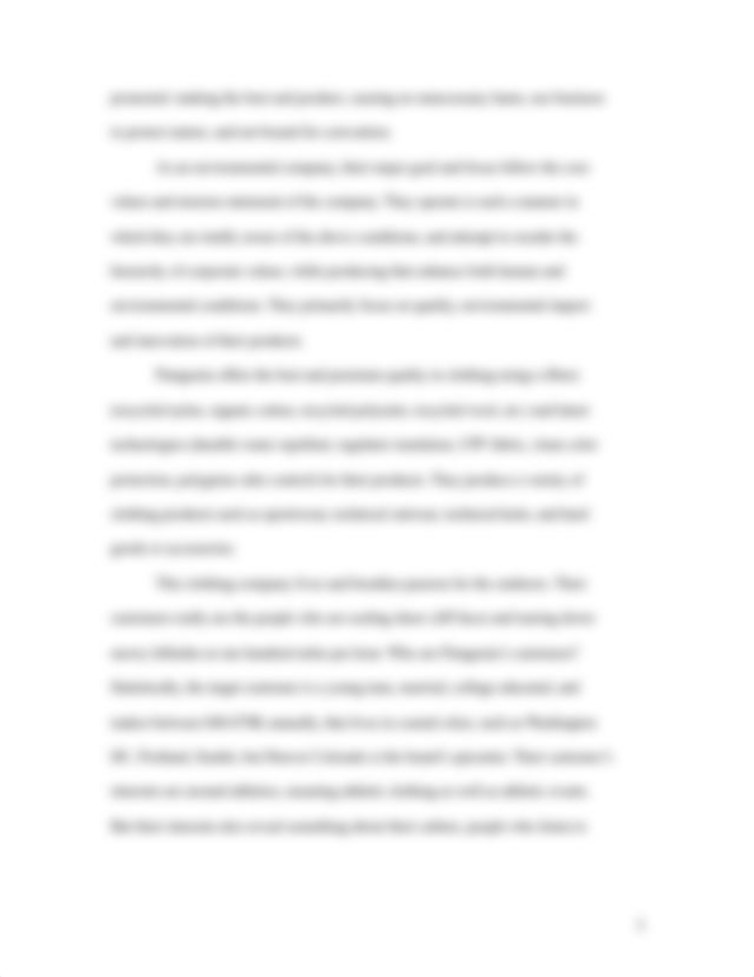 PATAGONIA RESEARCH PAPER.docx_d09brhq0e6a_page3