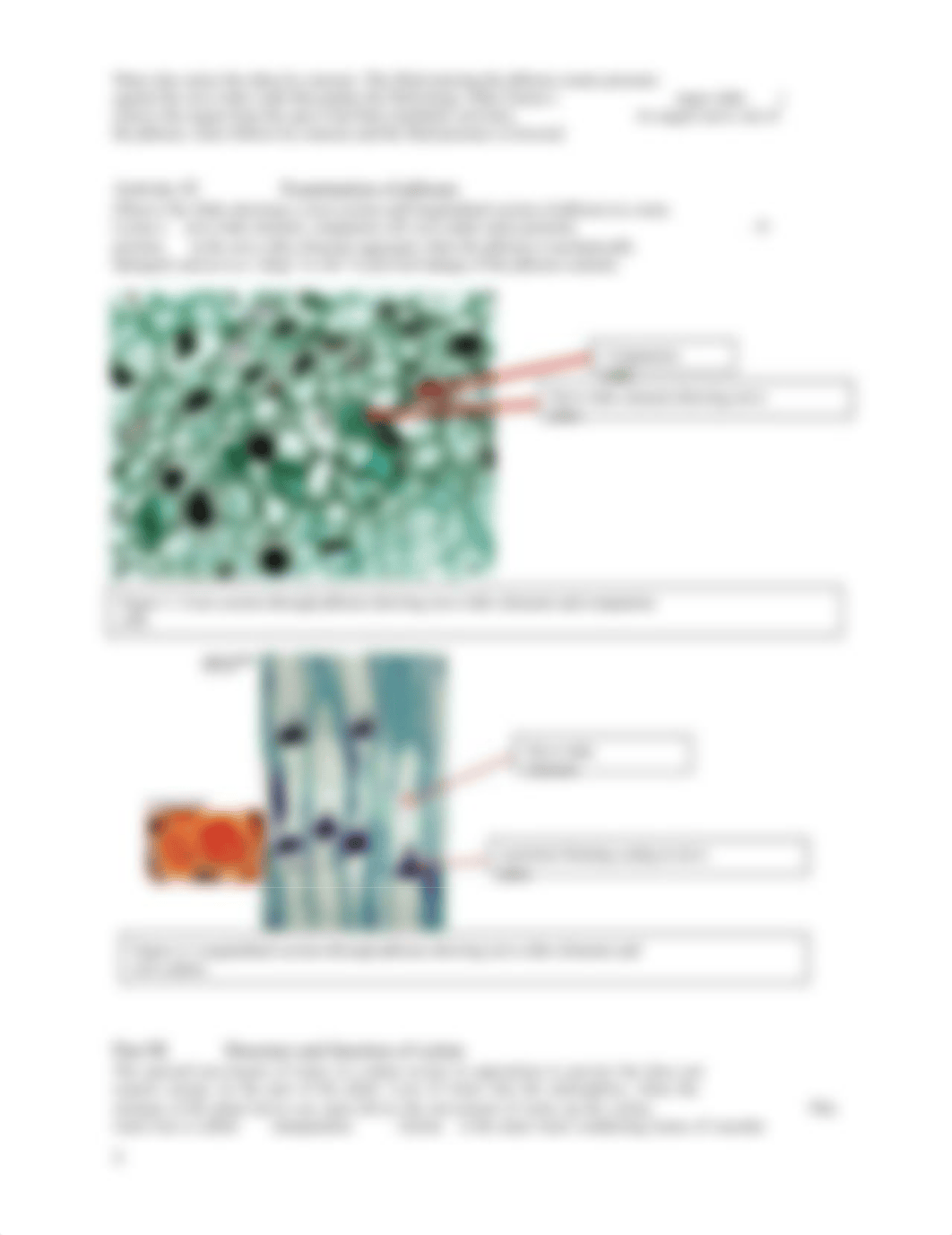 Lab 4 Spring 2017_d09e8z66ym8_page3