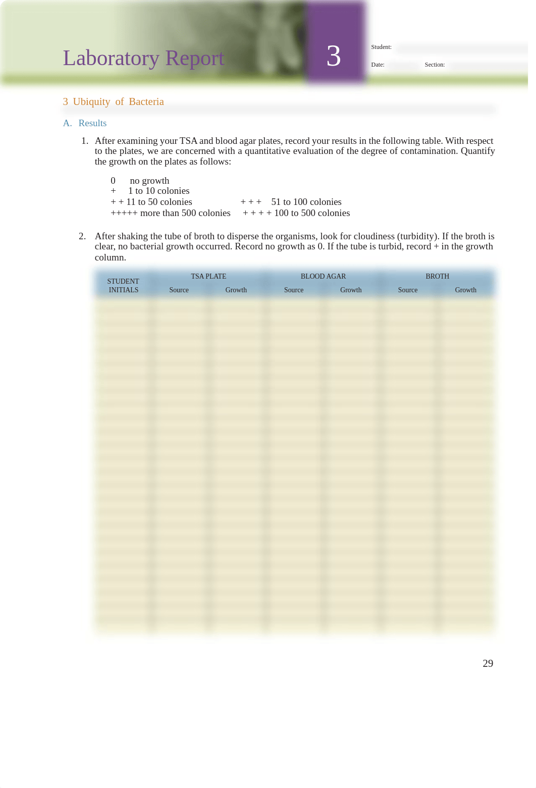 Exercise 03 Lab ReportMB.pdf_d09oz7mo84y_page1