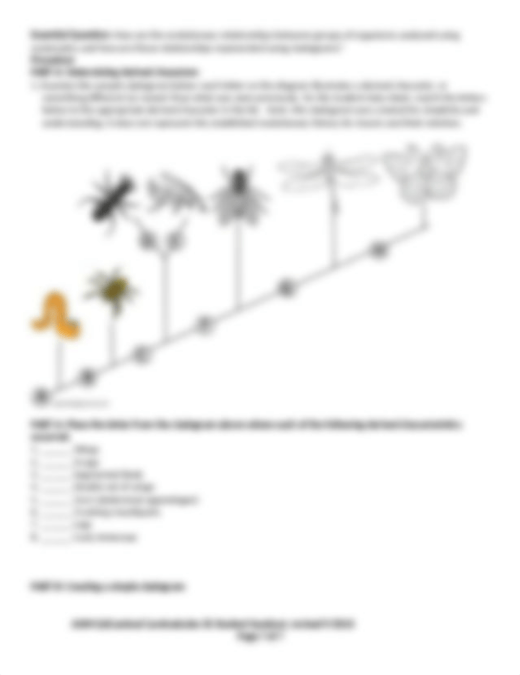 Cladogram_Activity.docx_d09pmls12bj_page2