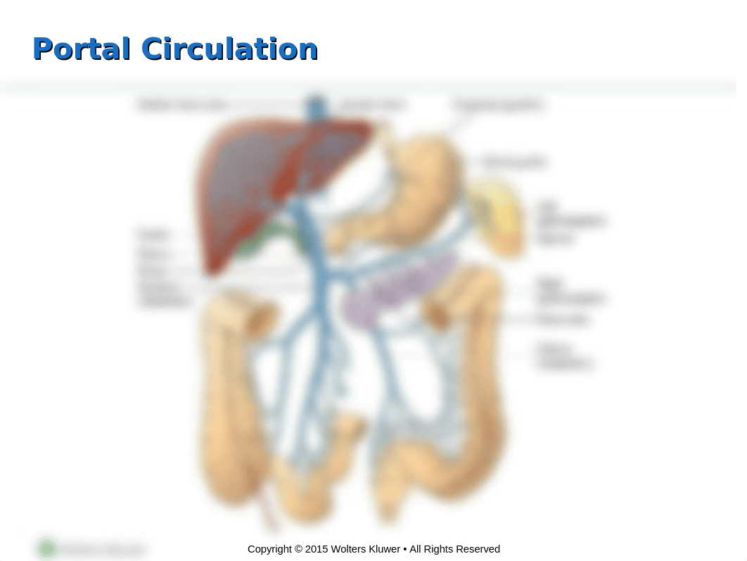 Chapter 38- Disorders of Hepatobiliary and Exocrine Pancreas Function.ppt_d09rz31cuv3_page3