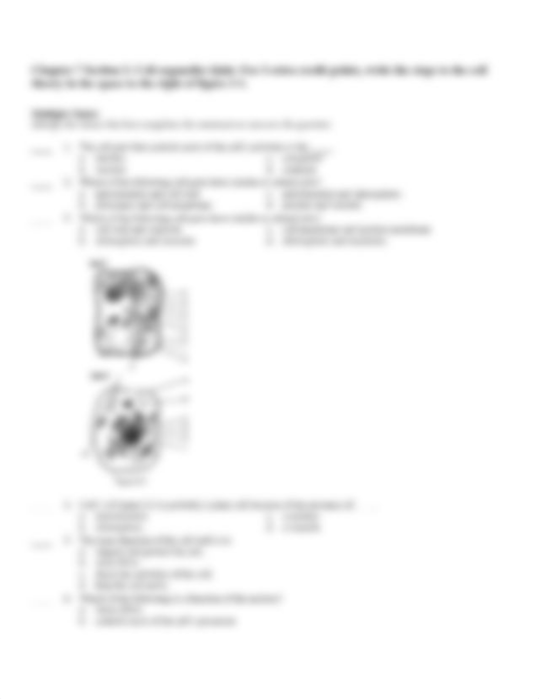 Chapter 7 Section 2  Cell organelles Quiz_d09s6k5fjxi_page1