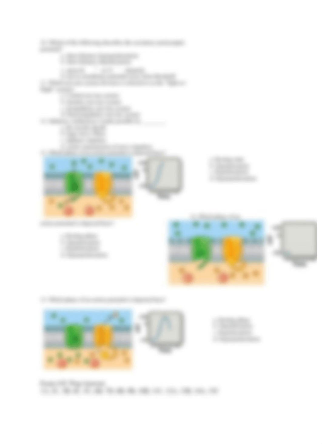 BIO 110 Exam 4 IC Prep.doc_d09w170o1zy_page2