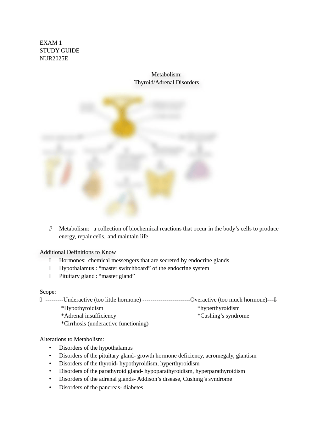 exam 1 metabolism thyroid adrenal study guide 2025.docx_d09whhds44s_page1