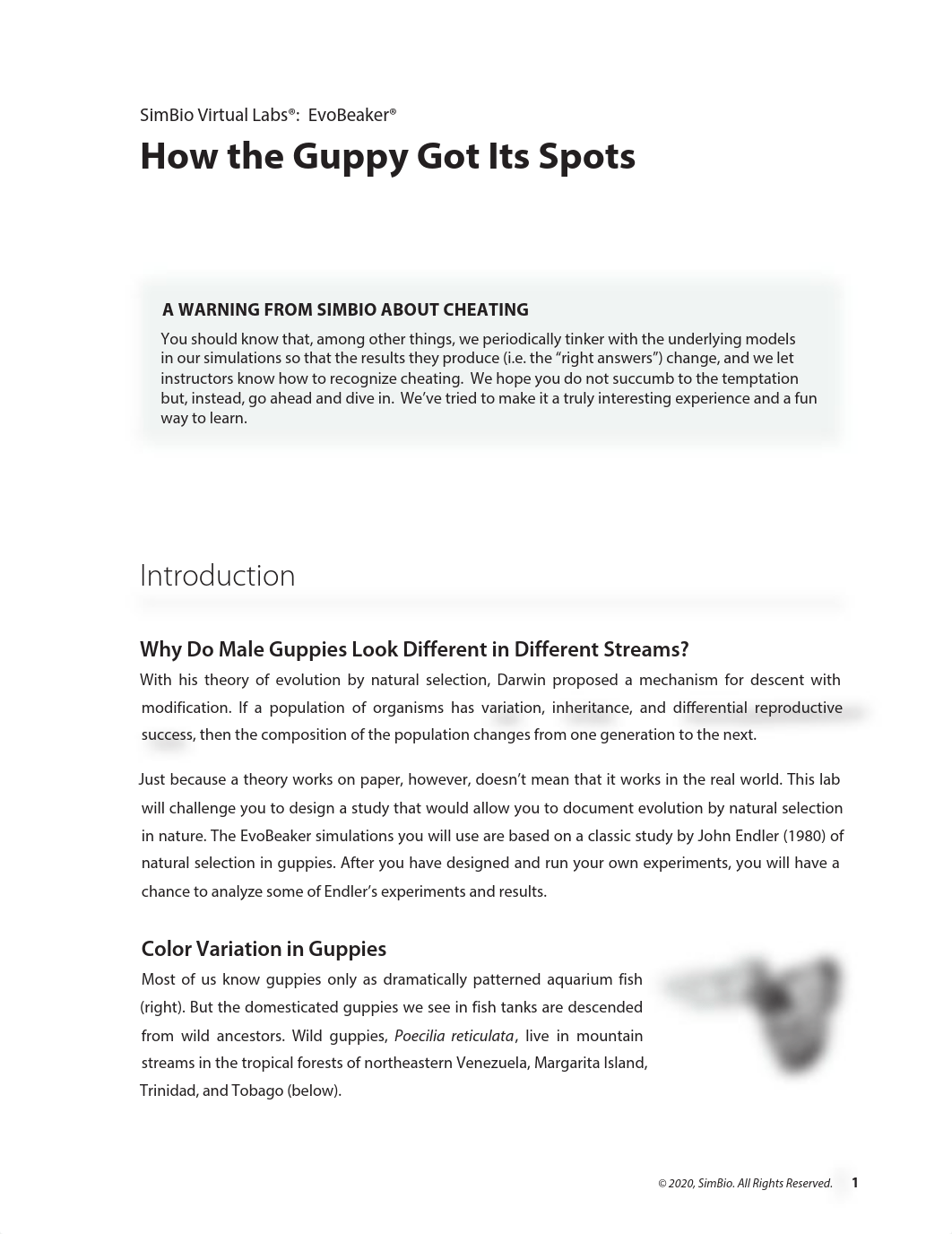 Guppy experiment completed.pdf_d0a94jtpoe4_page2