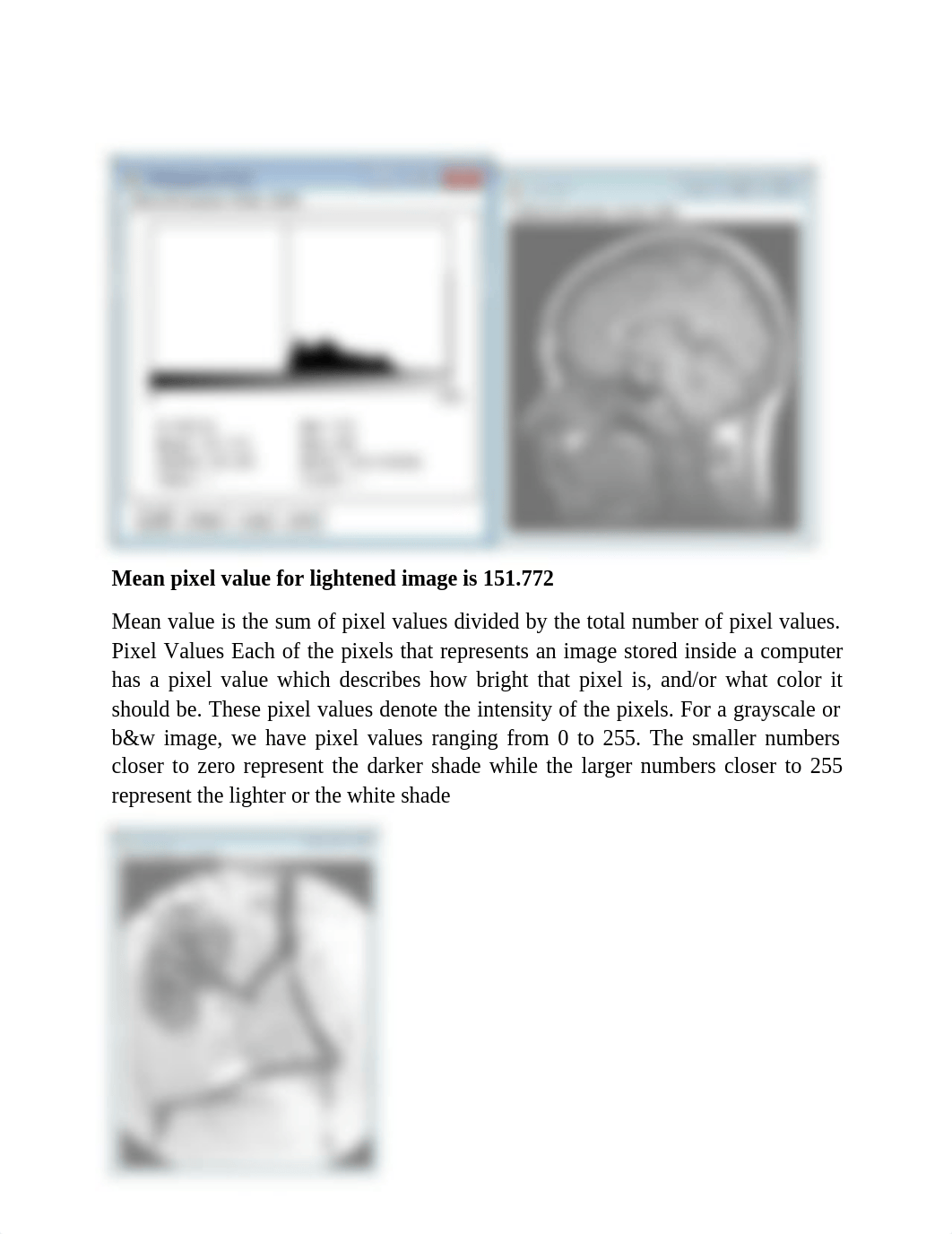 RISHIKESH PATIL Lesson 3 PL_3 HW.pdf_d0aamyneno8_page2