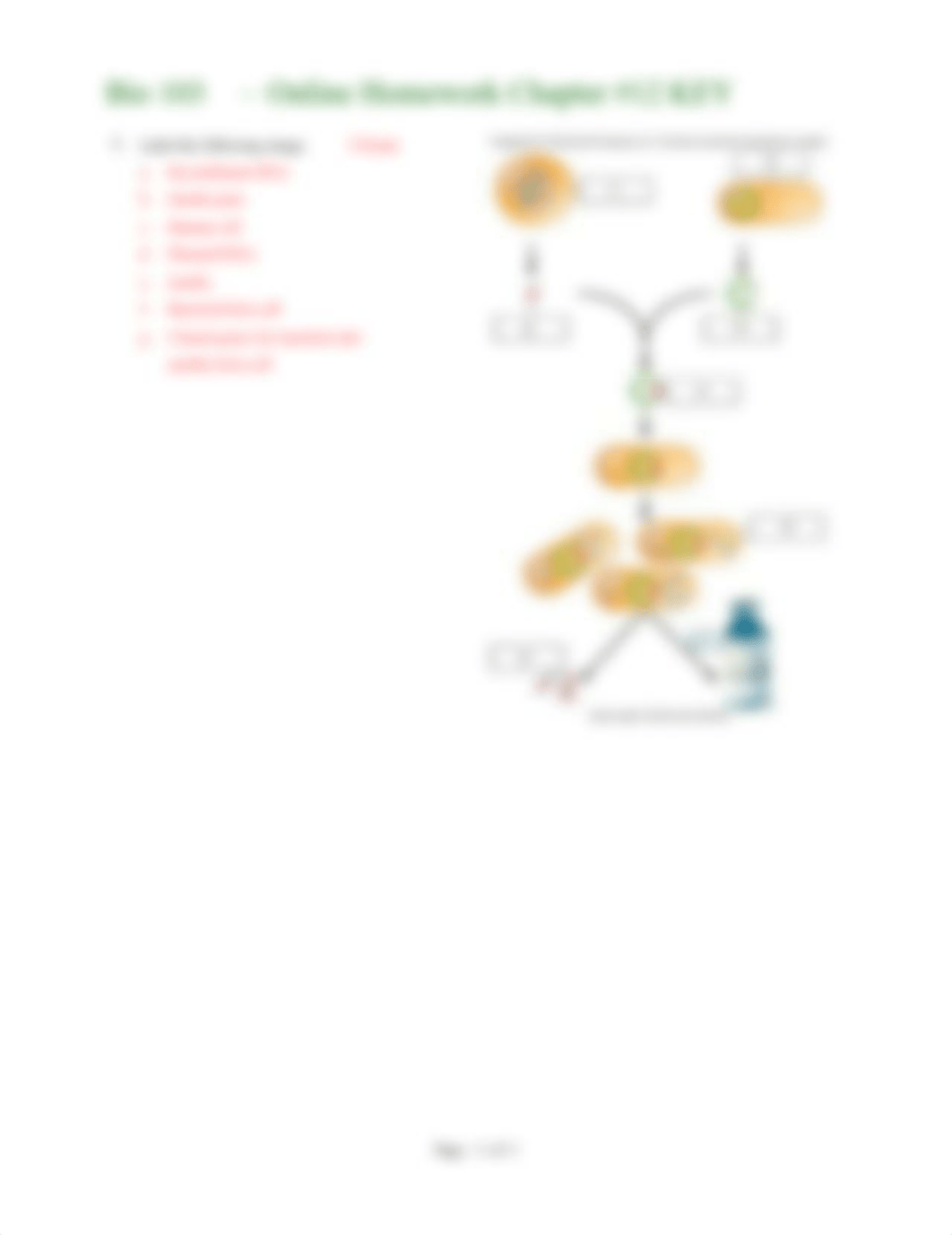 Bio 103 Homework 12 - Biotech KEY (1).pdf_d0ao8aklc3z_page3