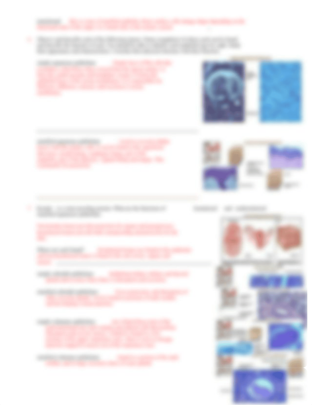 ch4 EPITHELIAL TISSUE.doc_d0arx2syu83_page2