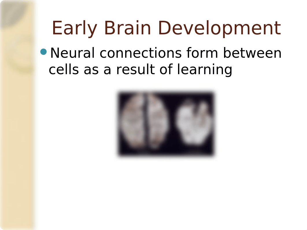 Principles of Growth & Development Fall 2016 (1)_d0asuuppdmi_page3