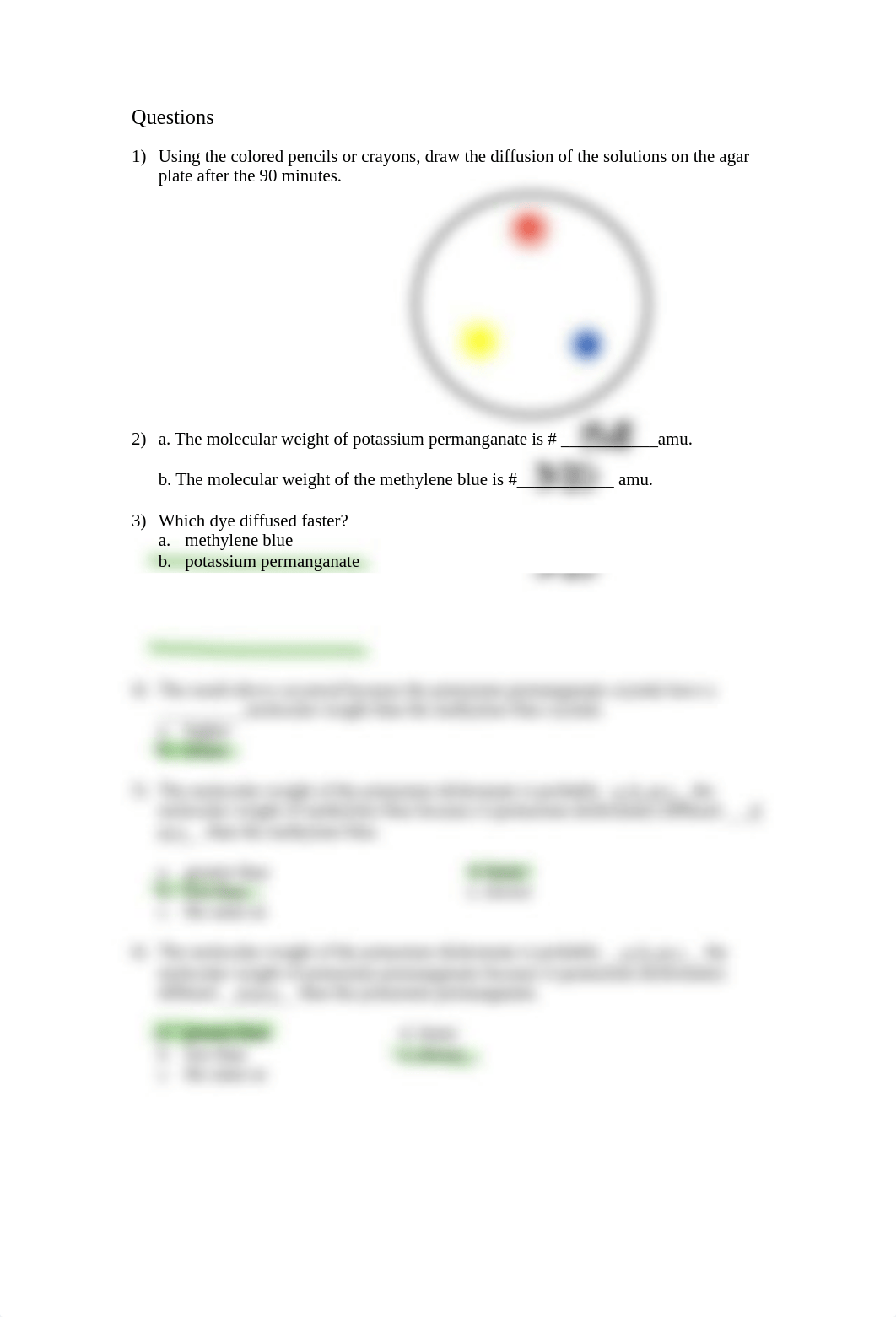 Diffusion lab report.pdf_d0axiq3rhk2_page2