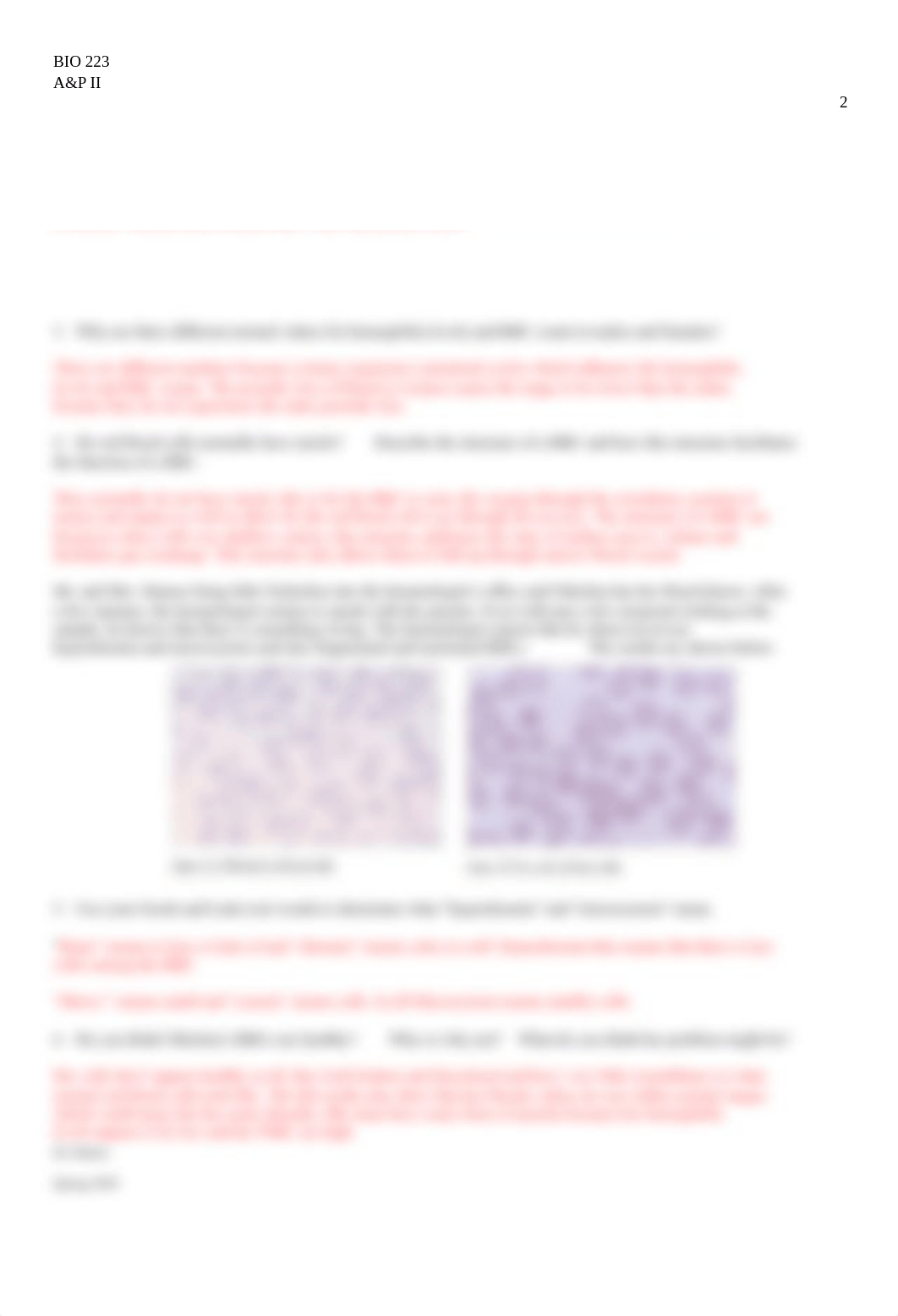 Blood Case Study.docx_d0axsrowvm3_page2