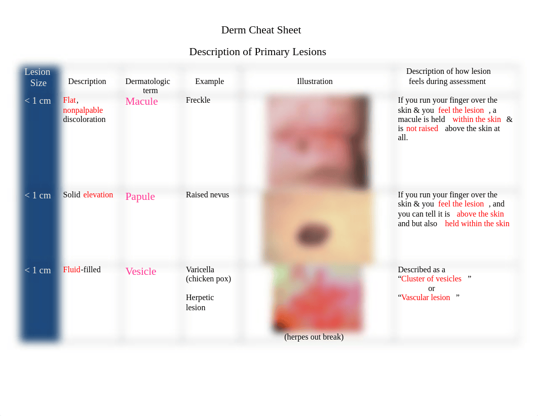 NSG625_Notes_3_Derm Cheat Sheet.docx_d0axzsgccu4_page1