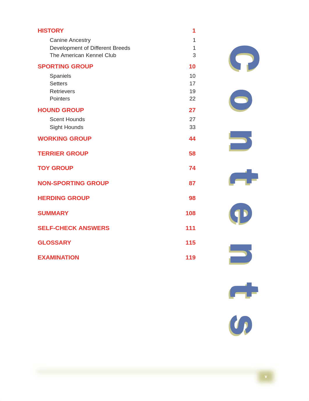 Study Unit Dog Breeds_d0ay5x1vgwj_page4