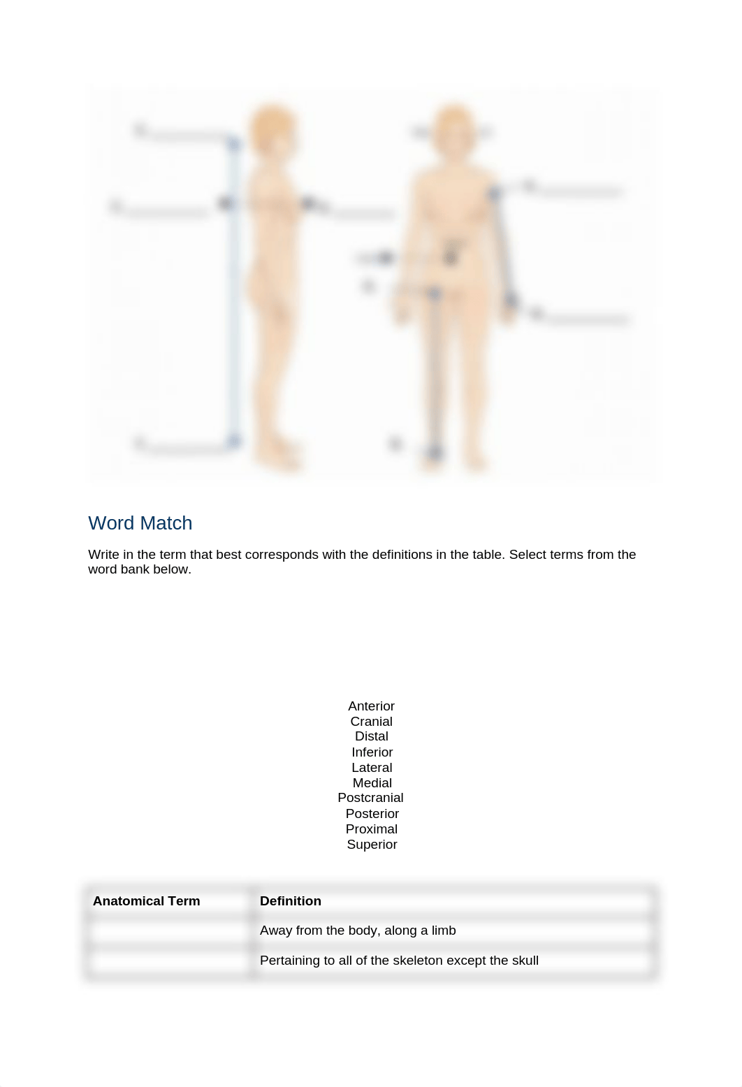 Lab 5- Directional Terms.docx_d0ayttqch44_page2