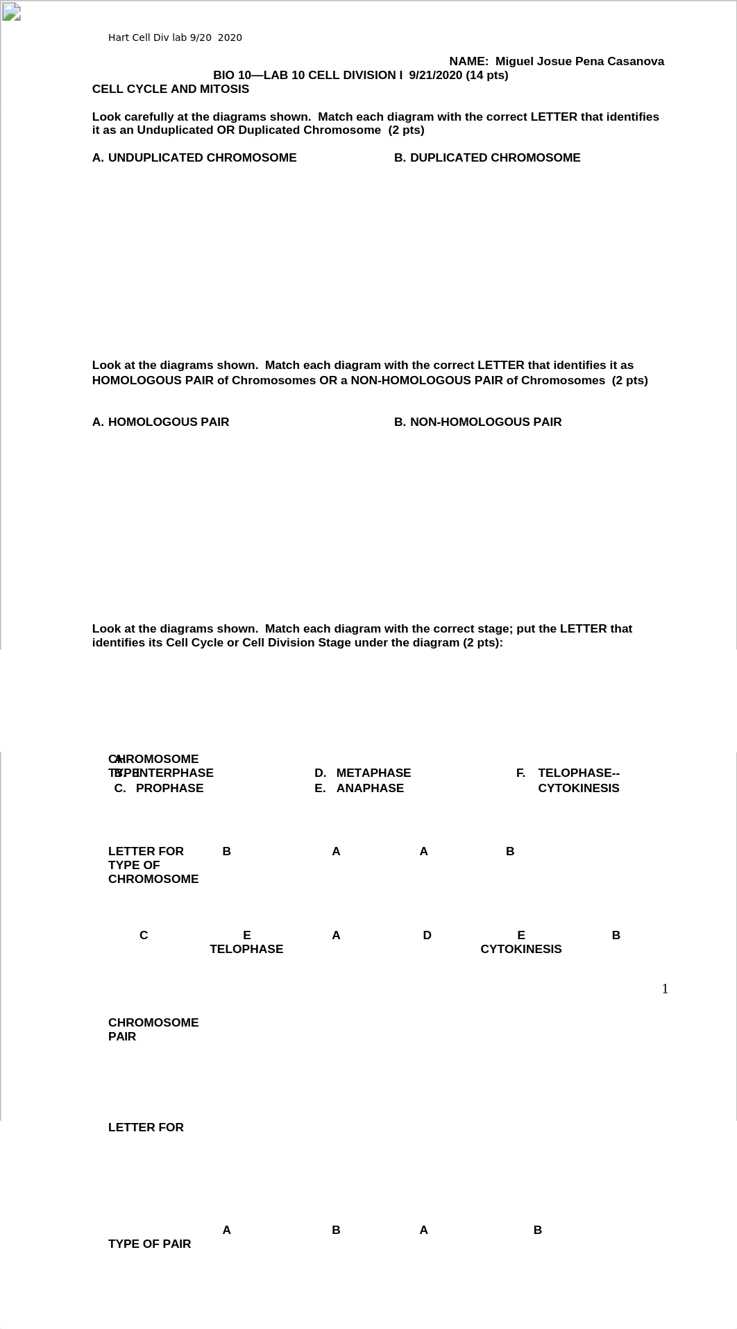 Hart Bio 10 Cell Div-MITOSIS Lab Assignment 10   9-21-2020.asd.docx_d0b0rn42kp0_page1