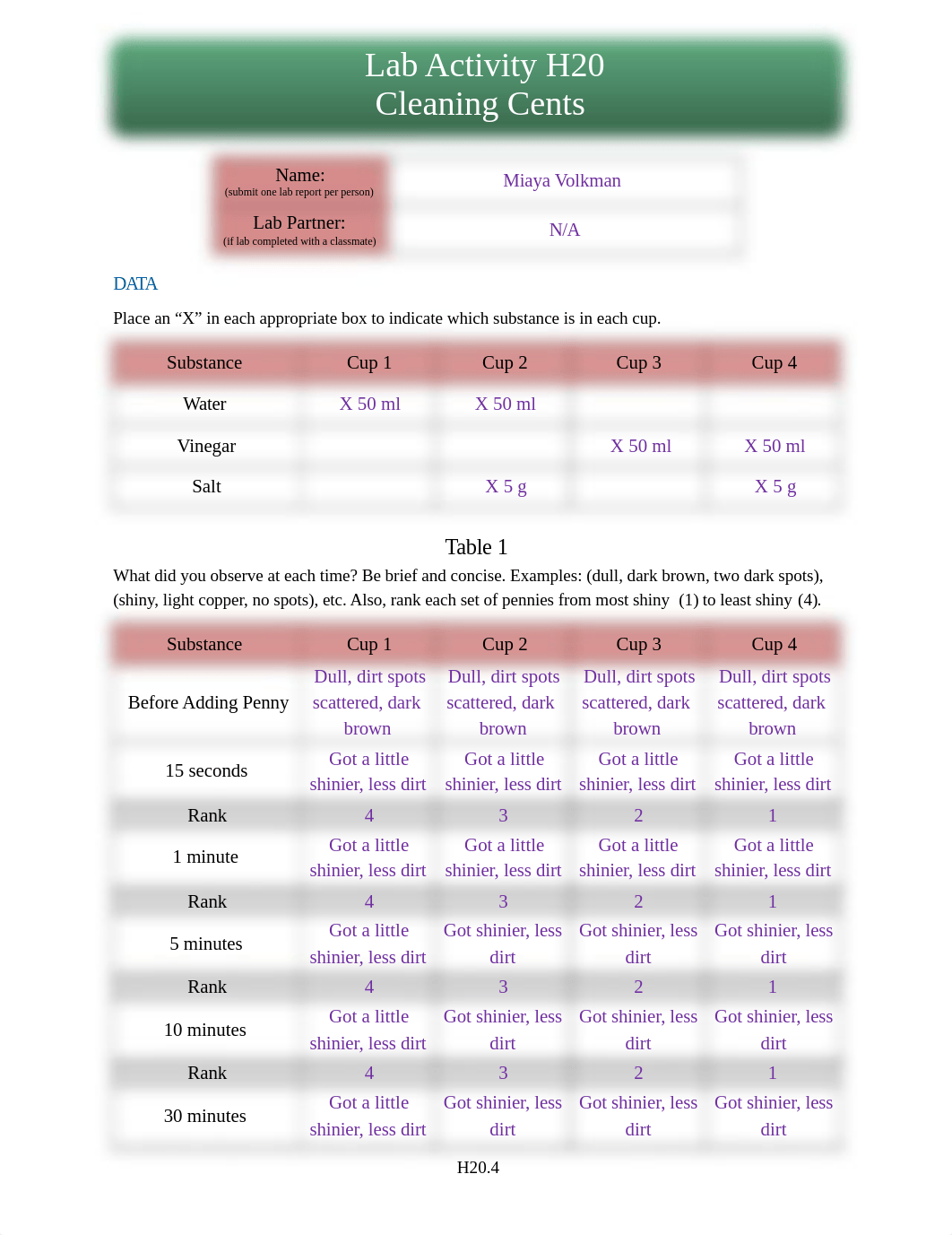 Volkman Miaya H20.docx_d0b1w64msdq_page1